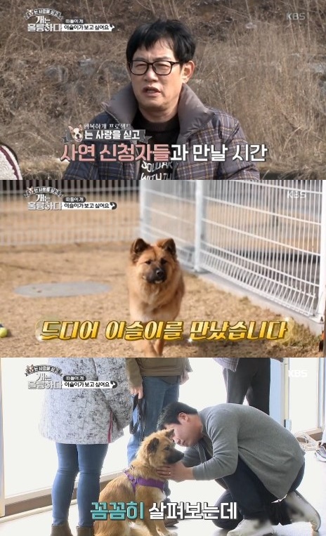 KBS 2TV '개는 훌륭하다' 캡처
