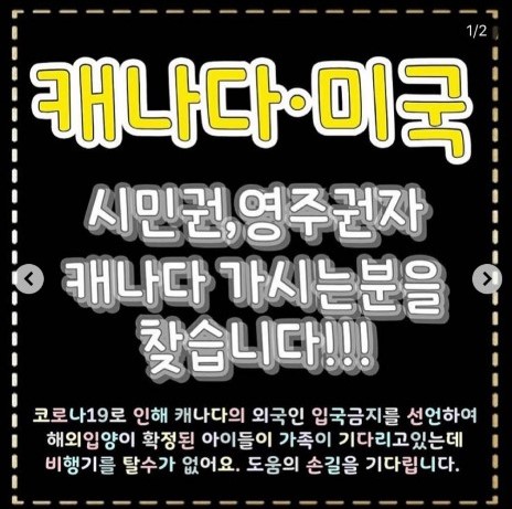 사진=이효리 인스타그램
