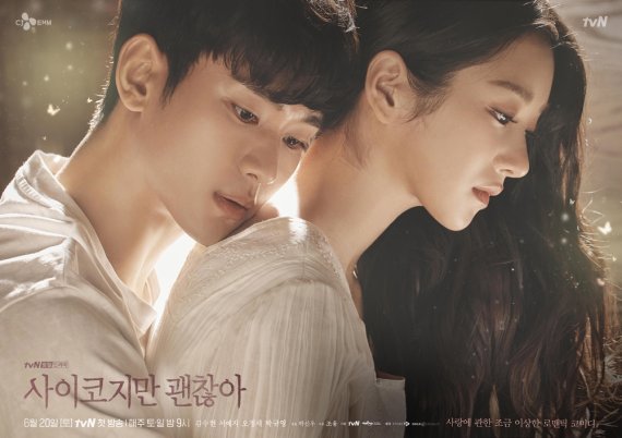 [사진 출처 = tvN 사이코지만 괜찮아 공식 홈페이지]