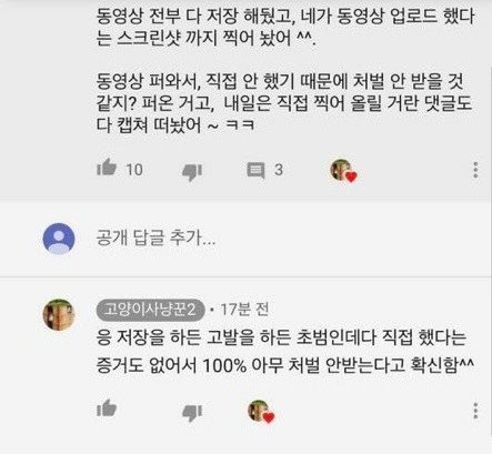 고양이 사냥꾼이 직접게시한 댓글