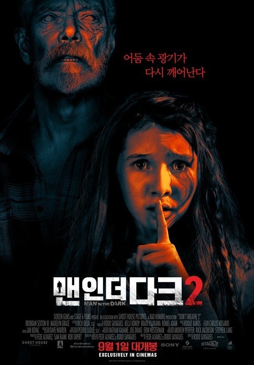 영화 '맨 인 더 다크2' 포스터