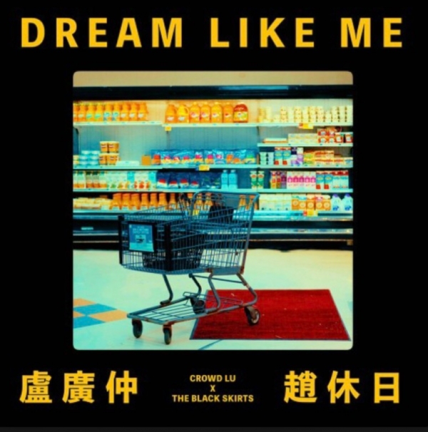 사진 = Crowd Lu(루광중) x 검정치마, Dream like me