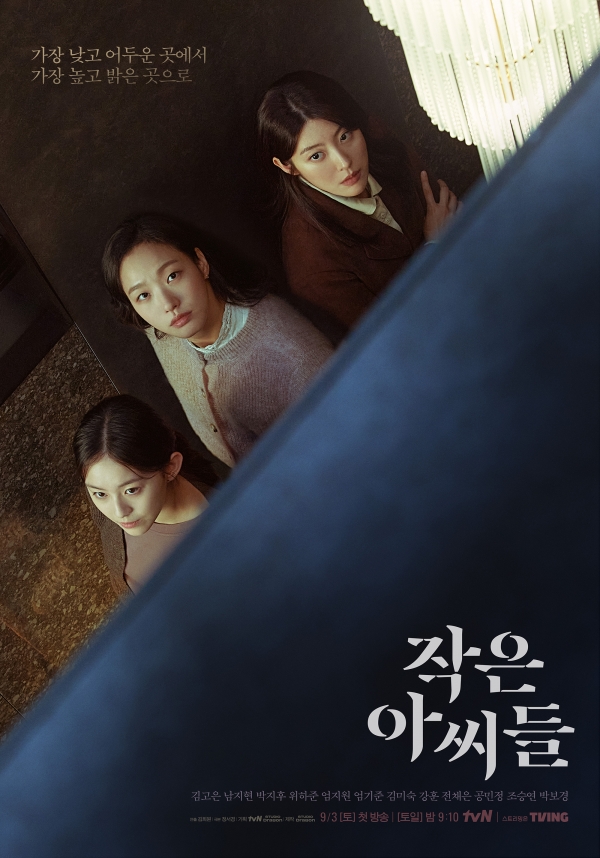 작은 아씨들 포스터 / 사진 제공 tvN